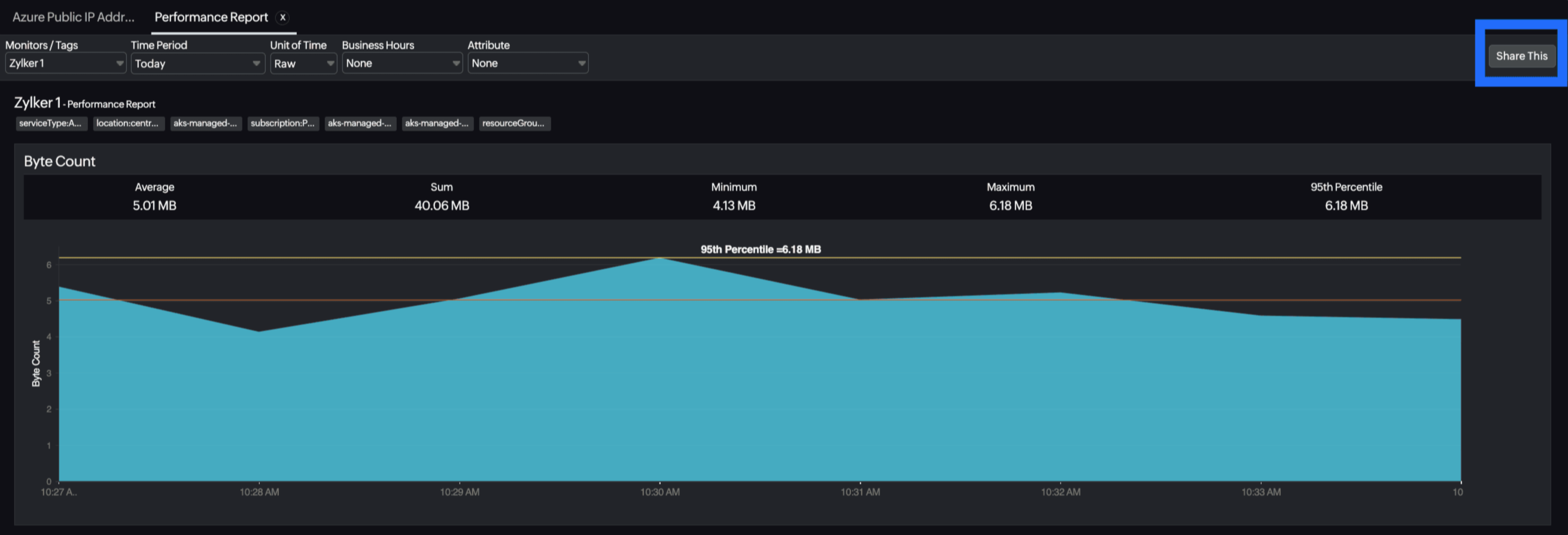 Public IP Schedule Report